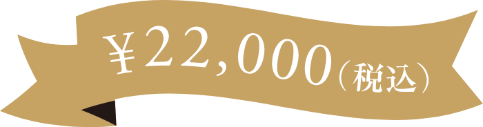 各¥22,000(税込)
