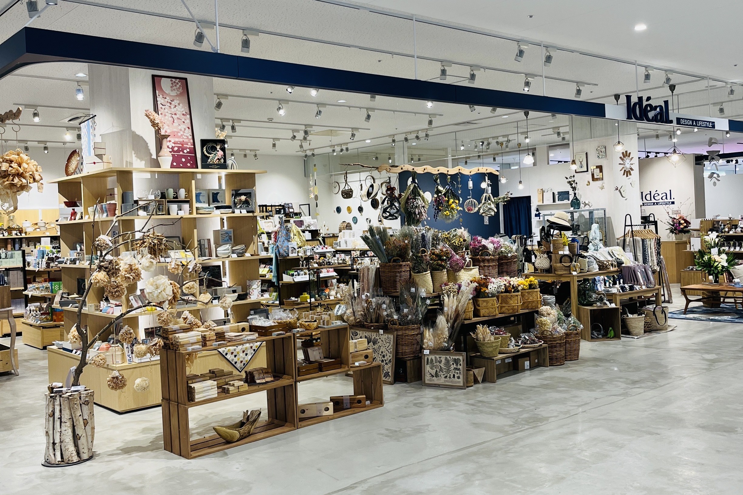 ［Idéal. 函館店］OPENのお知らせ